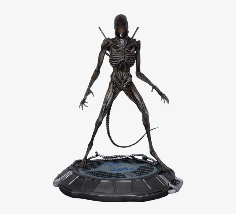 Xenomorph 1/4 Scale Statue - Alien Covenant 1/4 Scale Xenomorph Statue, transparent png download