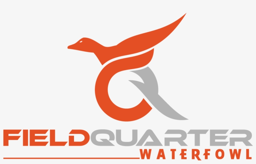 Png Logo Download - Graphic Design, transparent png download