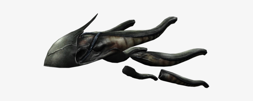 Download Zip Archive - Dolphin, transparent png download