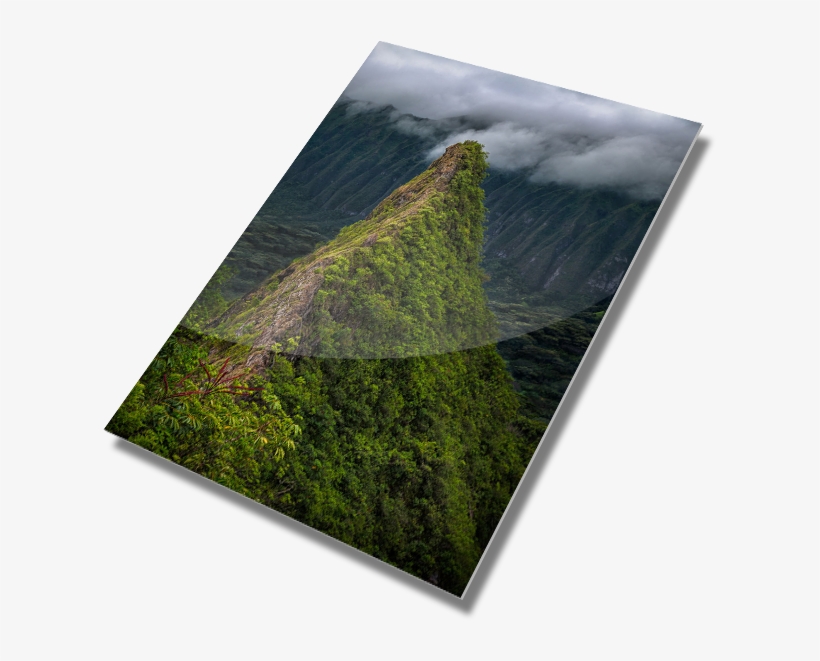 The Widowmaker - Grass, transparent png download