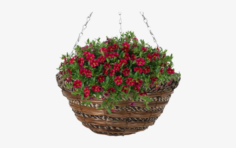 Clip Royalty Free Library Cm Sisal - Gardman Sisal Rope & Fern Hanging Basket Natural, transparent png download