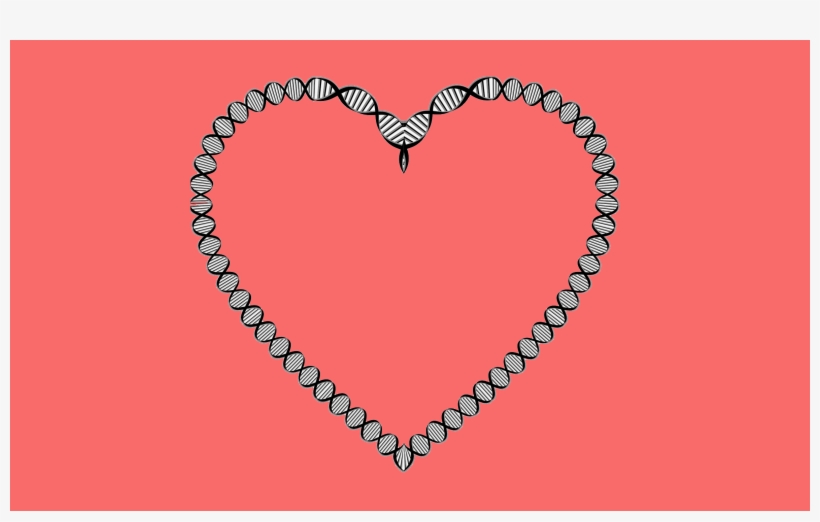 One Of The Main Challenges Of Using Cardiomyocyte Patches - Heart, transparent png download