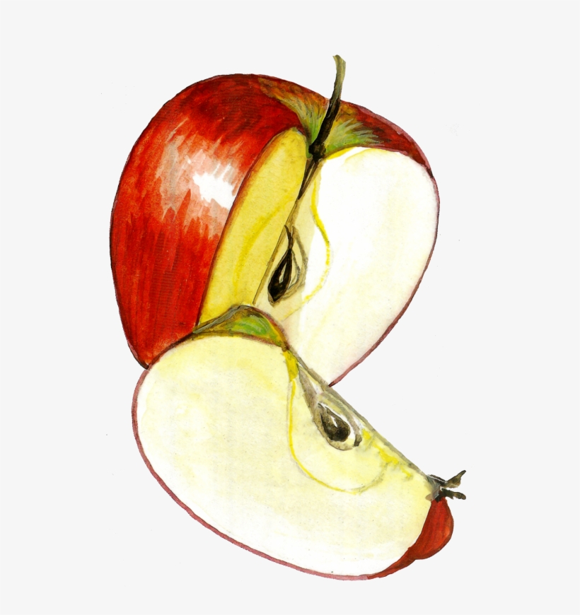 Apples - Portable Network Graphics, transparent png download