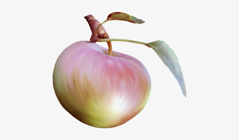 Apples, Png, Fruit - Peel, transparent png download