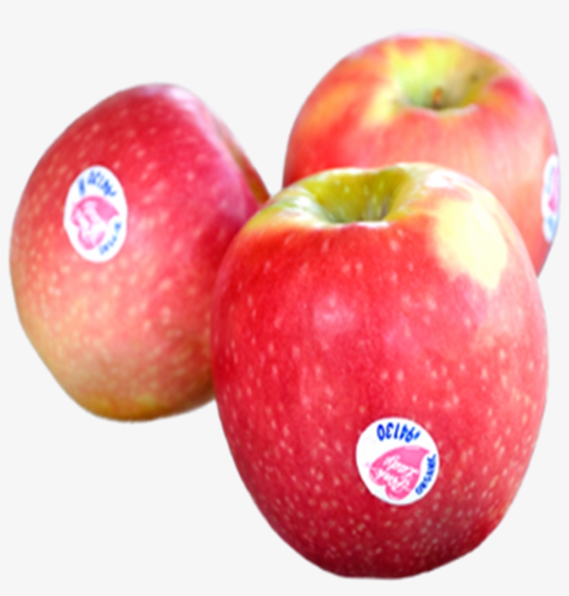 Clipart Free Library Apple Red X S Box Kg Jackie - Pink Lady Apples Png, transparent png download