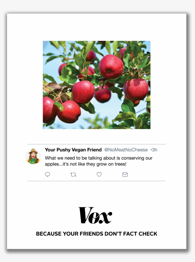 Apples - Apple Tree Wallpaper Hd, transparent png download