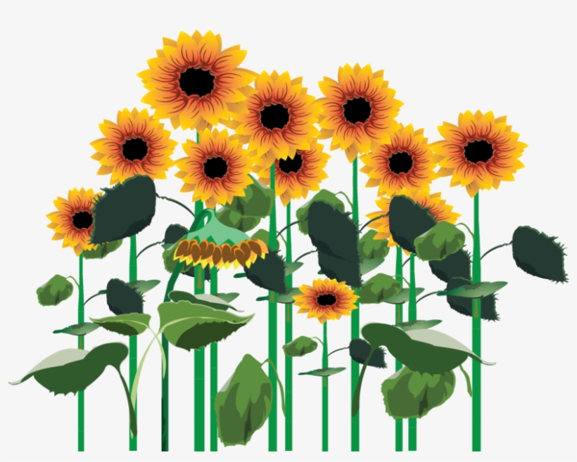 3209172098, Field Of Sunflowers - Sun Flower Png Deviantart, transparent png download