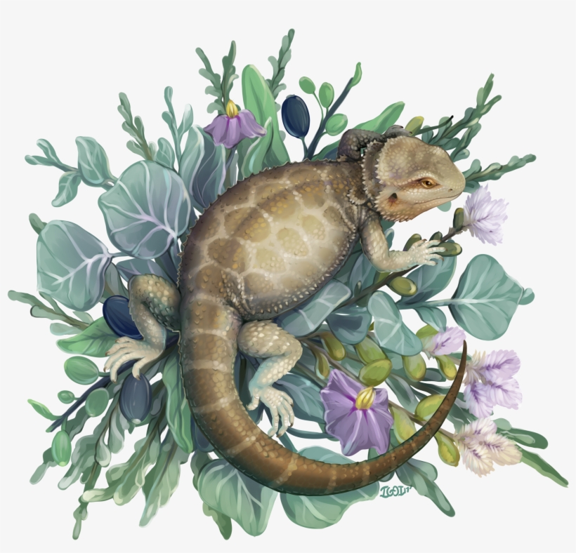 $1000 - Dakimakura Reptile, transparent png download