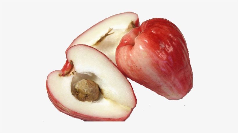 Malay Apple - Rose Apple In Malay, transparent png download