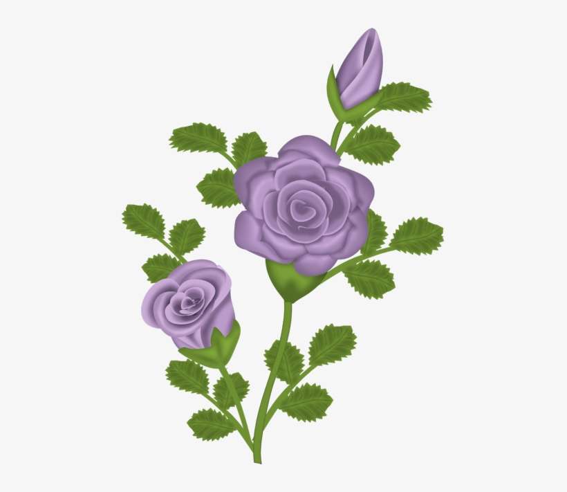 Purple Depressed Rose With White Background - Happy New Month September, transparent png download