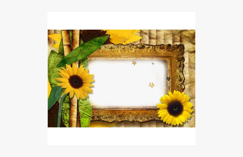 Free Icons Png - Sunflower Borders And Frames, transparent png download