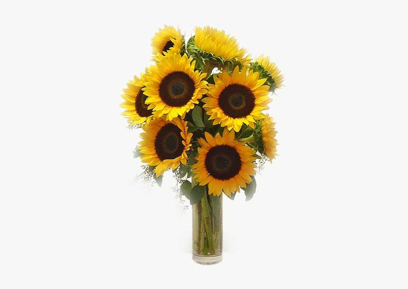 Sunny Sunflowers - Vase, transparent png download