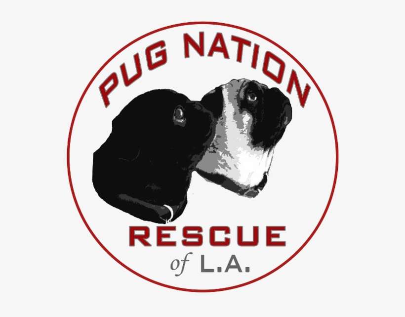 Pug Nation Of La Logo 2016 - Pug Nation, transparent png download