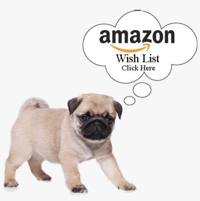 We Will Be Posting Pugs Available For Adoption And - Pug Puppy Note Cards, transparent png download