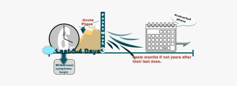 How Long Does Xanax Detox Take - Long Does Xanax Peak, transparent png download