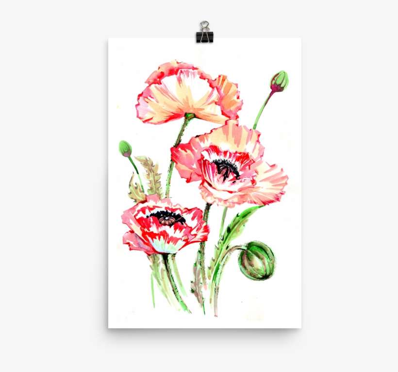 Bright And Floral Poppy Watercolour Matte Poster - Watercolor Painting, transparent png download