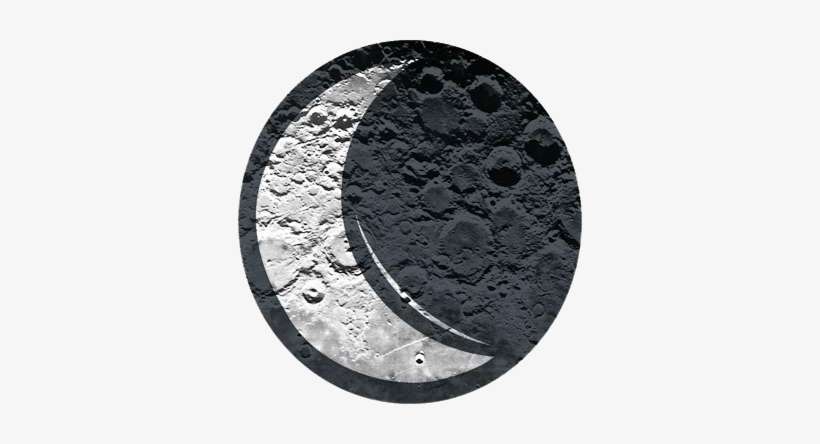 Text, Images, Music, Video - Glogster, transparent png download