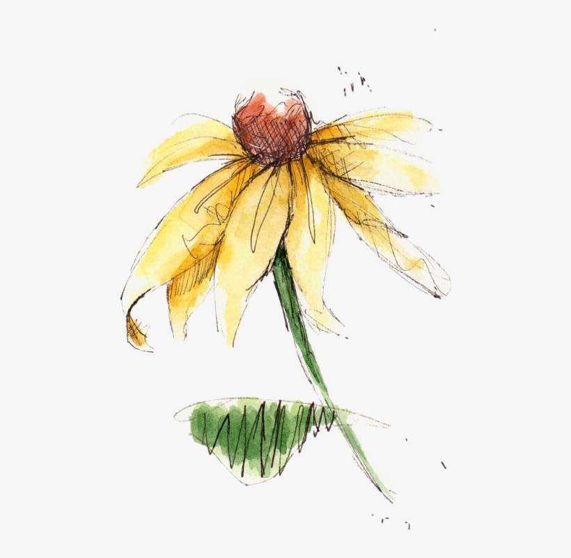 Watercolor Painting, transparent png download