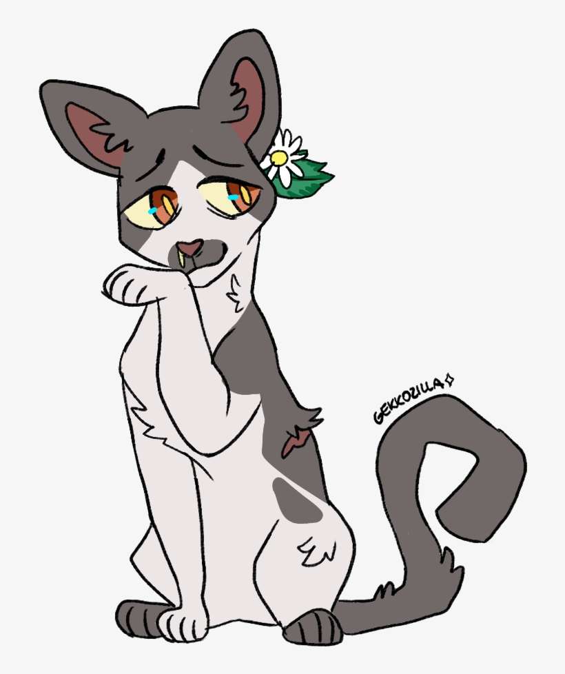 109 Runningnose Med Cat Herbs - Cat, transparent png download