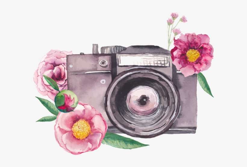 Cámaras De Fotos - سكرابز قهوة, transparent png download