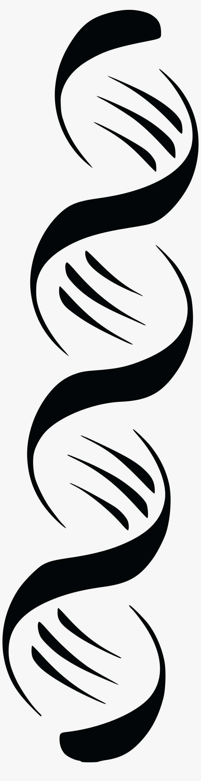 Free Clipart Of A Black And White Dna Double Helix, transparent png download