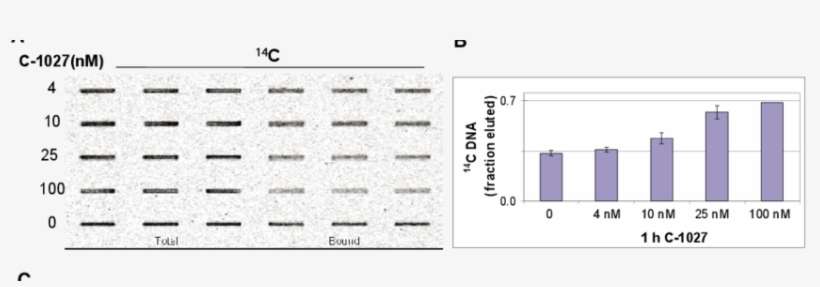 Dna Strand Breaks And Dna Crosslinks In Hct116 Cells - Diagram, transparent png download