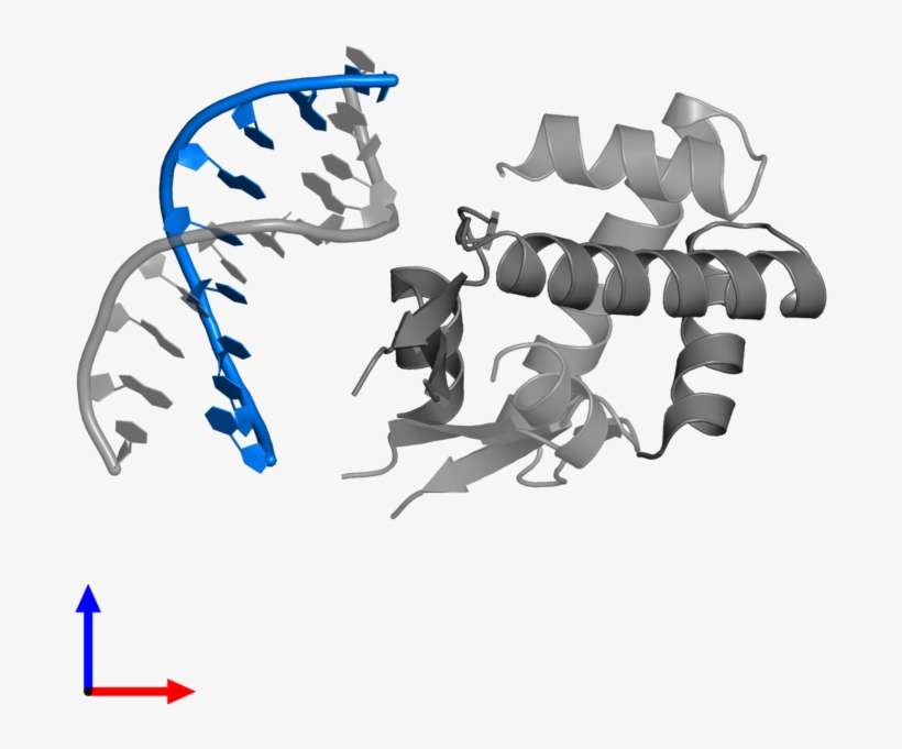 <div Class='caption-body'>pdb Entry 4yew Contains 1 - Illustration, transparent png download