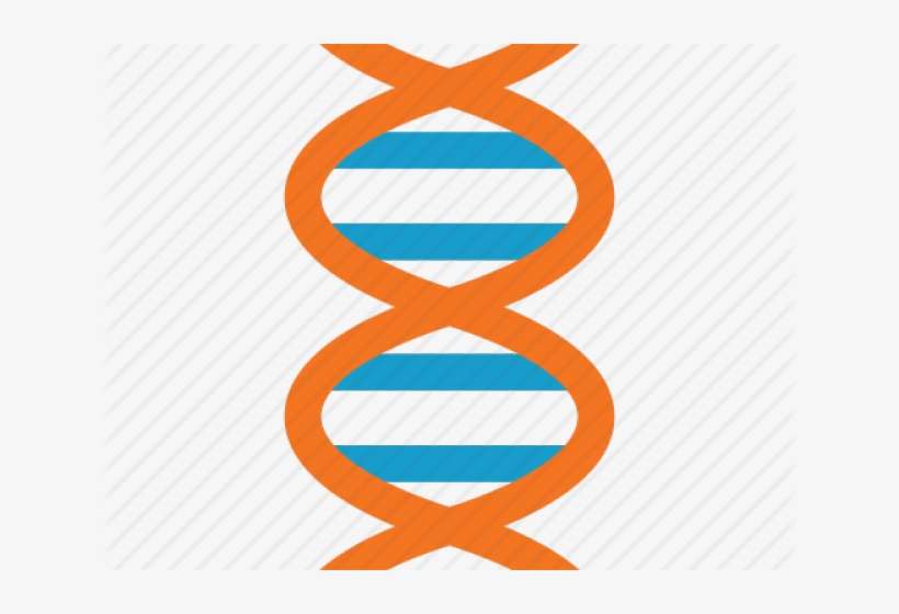 Dna Structure Clipart Dna Strand - Dna, transparent png download