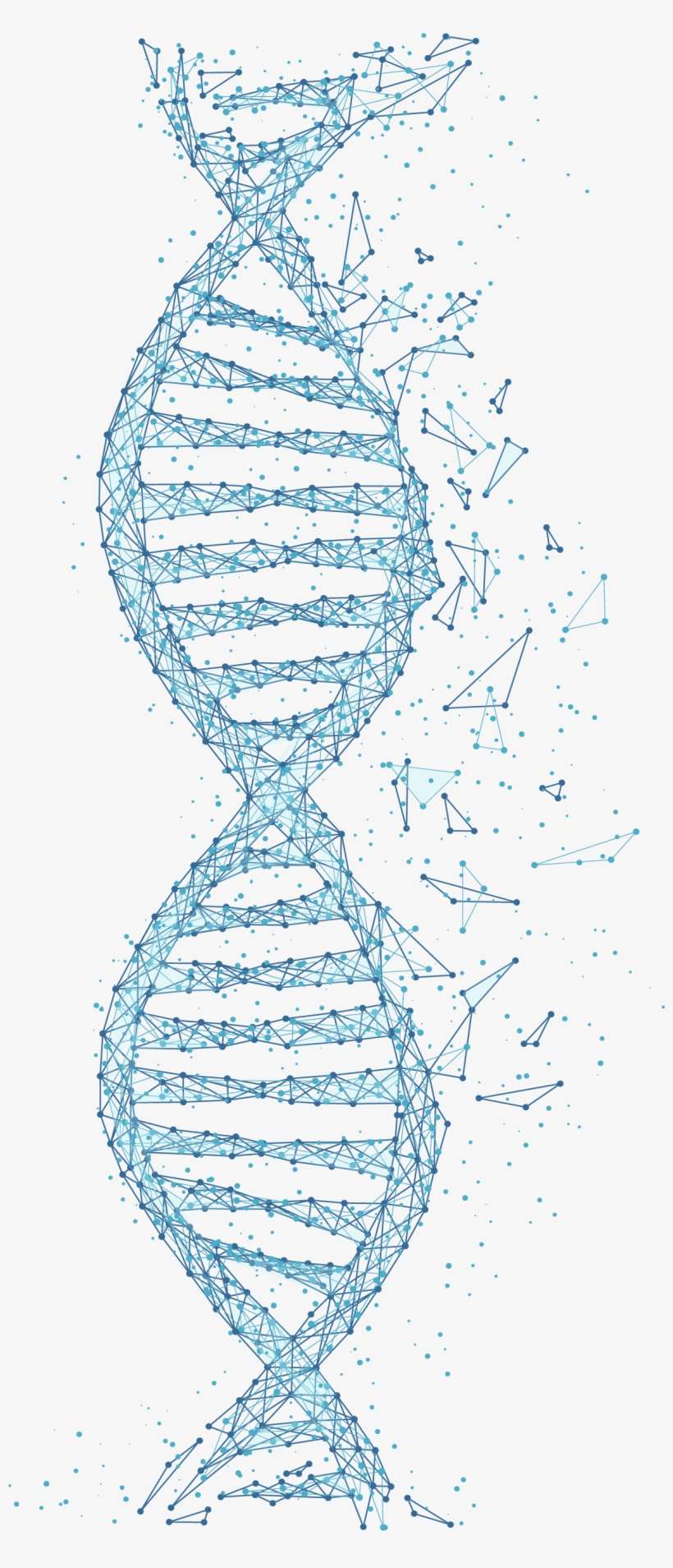 Dna Strand - Ten-pin Bowling, transparent png download