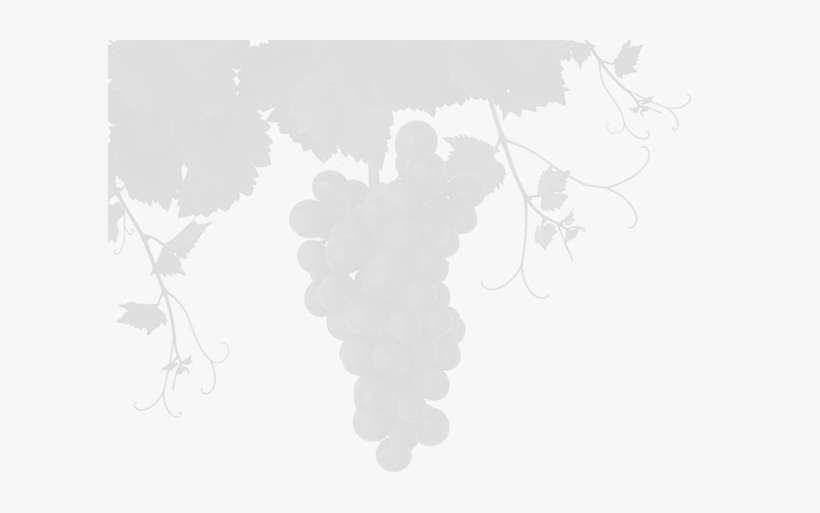 The White Box Winery Was Constructed Just In Time For - Illustration, transparent png download