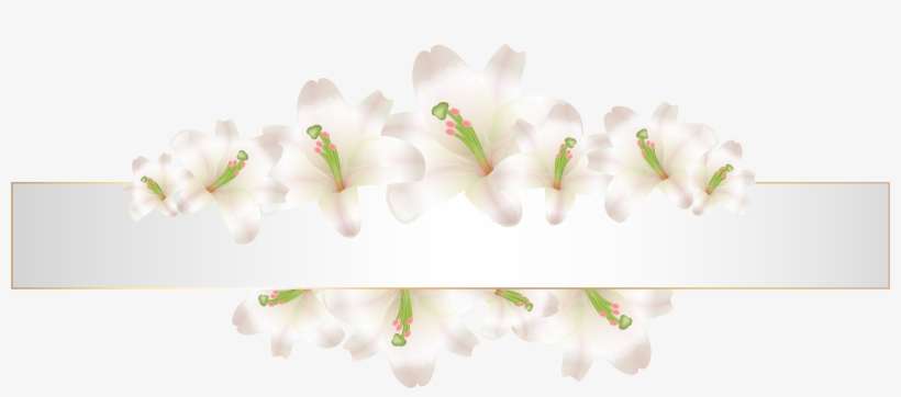 Soft Deco Banner With Flowers Png Clip Art - Flower Banner Png Free Download, transparent png download