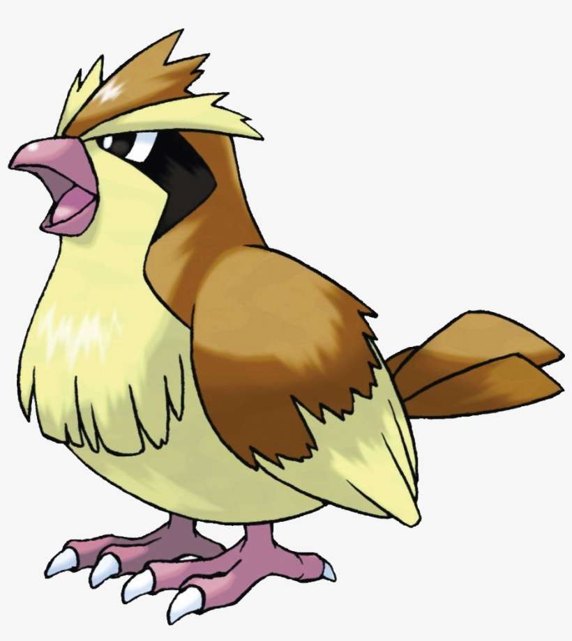 Pidgey - Pidgey Png, transparent png download
