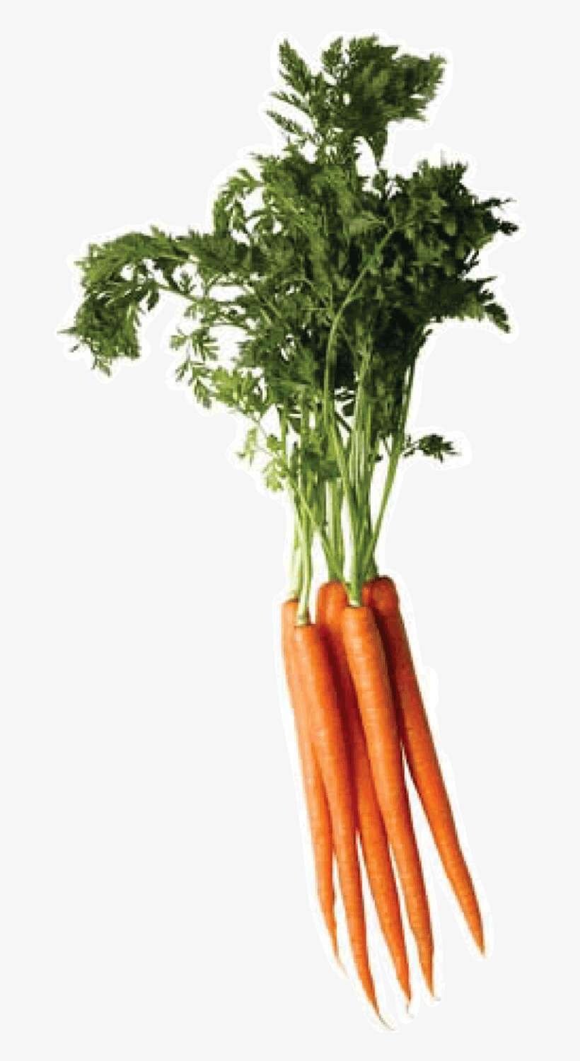 Carrot Png Image - Carrot Png, transparent png download