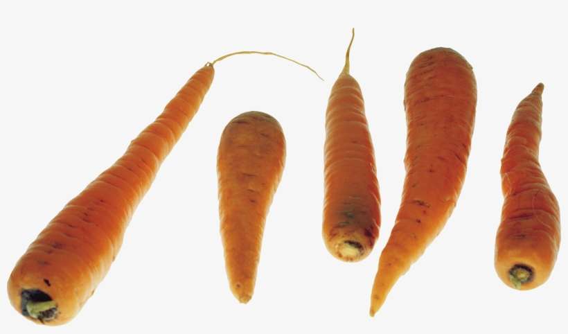 Carrots Png Image - Carrot, transparent png download