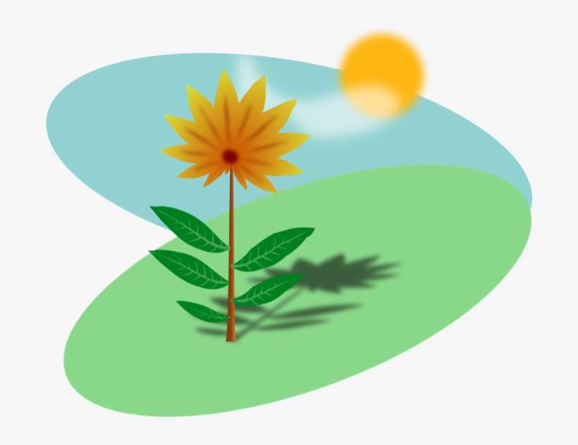 How To Set Use Cartoon Flower In The Sun Clipart, transparent png download