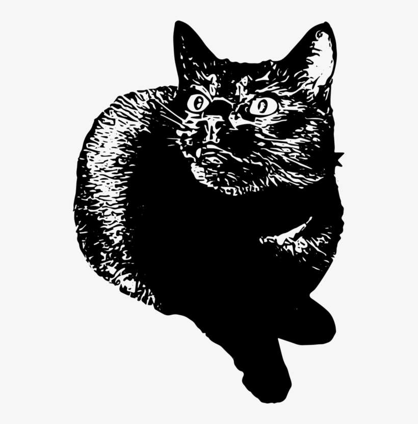 Domestic Short-haired Cat Whiskers Wildcat Tail - Cat, transparent png download