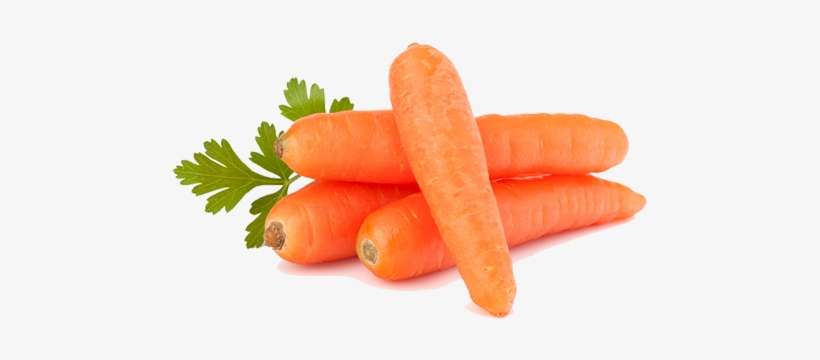 Food We Get From Plants, transparent png download