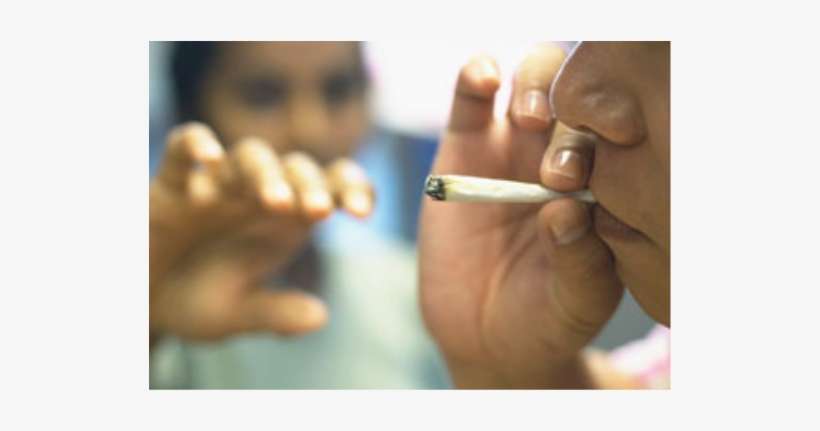 Marijuana - Unge Der Ryger Hash, transparent png download