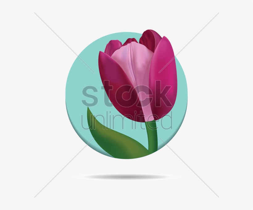 Tulip Stock Vector - Vector Graphics, transparent png download