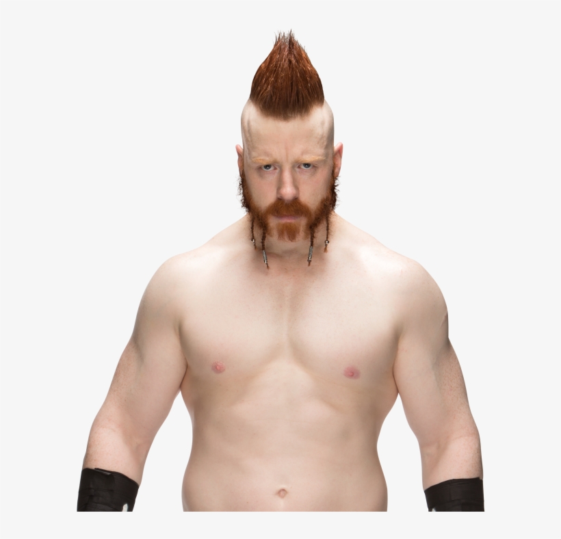 Alicia Fox Vs Asuka - Shimus Wwe, transparent png download