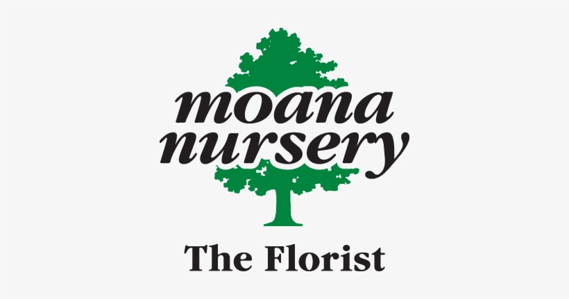 The Florist At Moana Nursery - Moana Nursery, transparent png download