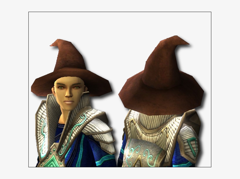 Http - //www - Gamergeoff - Com/images/201tics - Hat - Ddo Wizard Hat, transparent png download