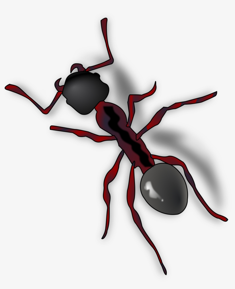 Ant Png - Ant Clip Art, transparent png download
