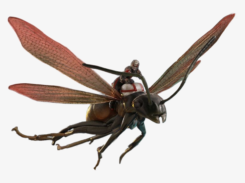 Ant-man Download Png - Ant Man Flying Ant, transparent png download