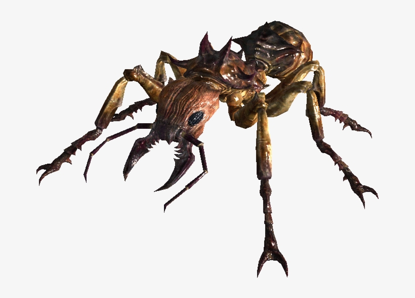 Giant Soldier Ant - Fallout 4 Giant Ants, transparent png download
