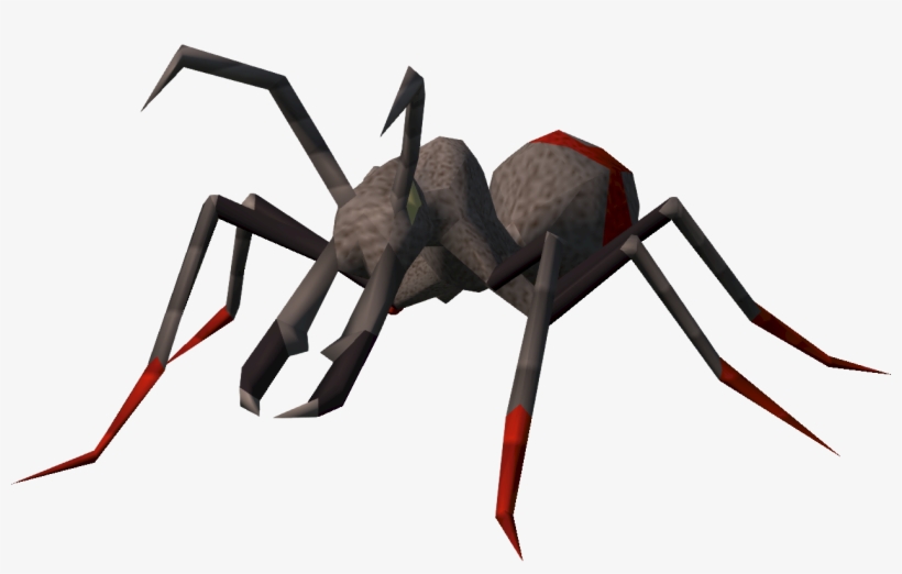 Bull Ant, transparent png download
