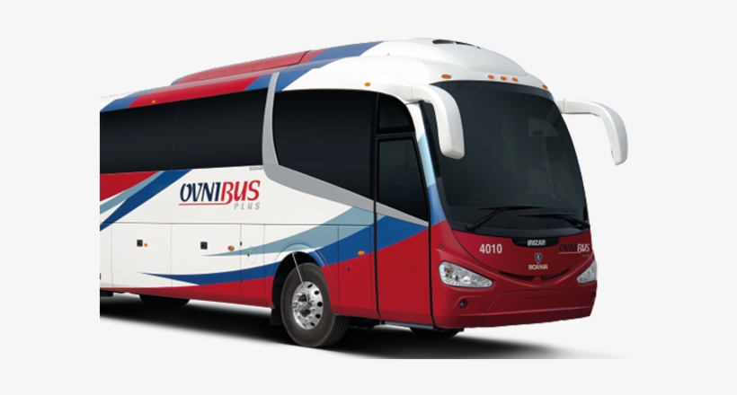 80 - Ovnibus Flecha, transparent png download