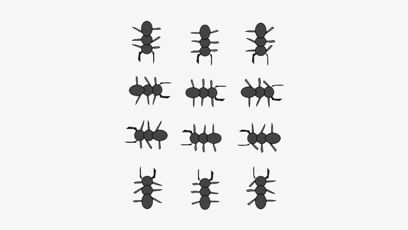 Ant - Weevil, transparent png download