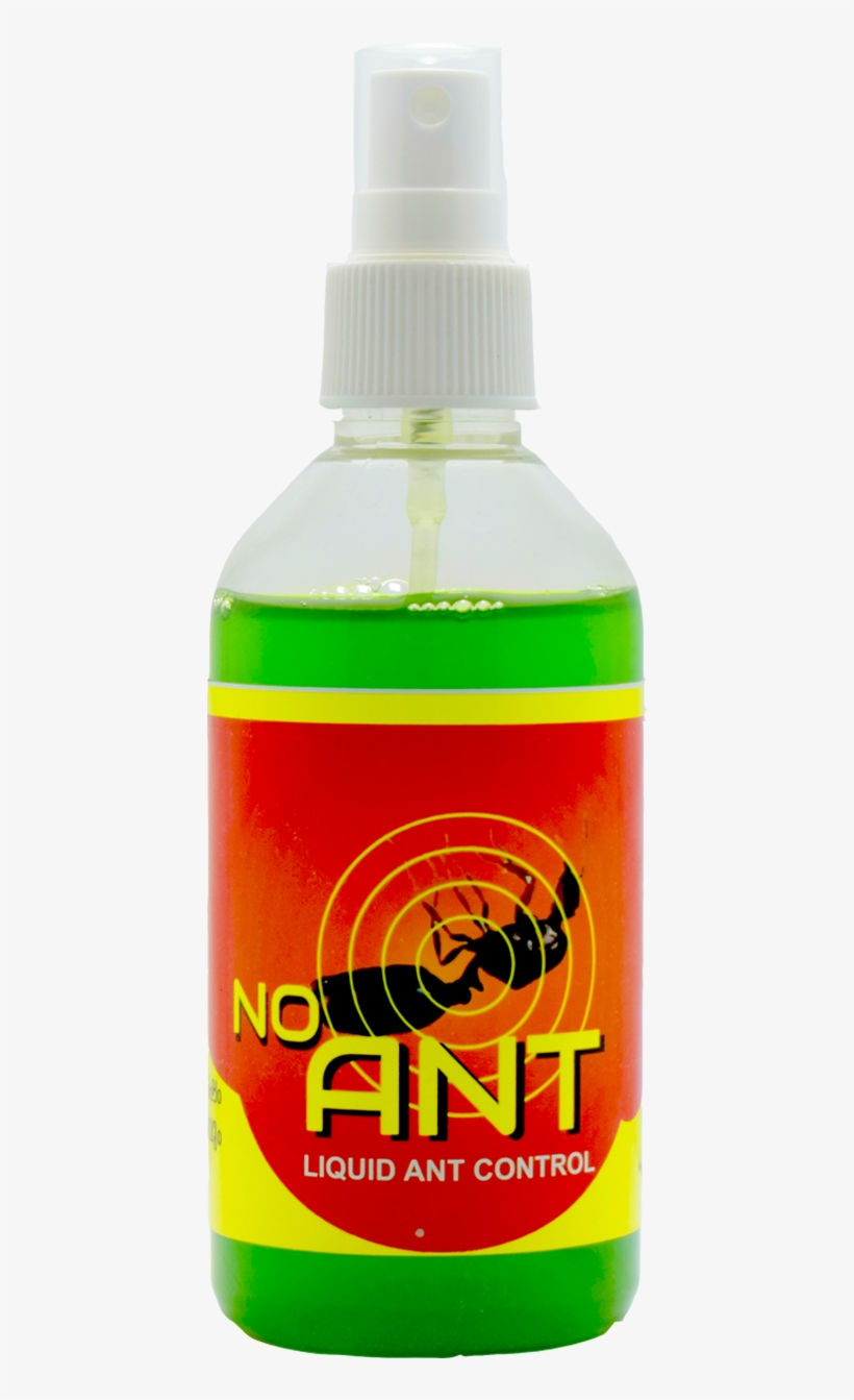Call For Price - Ant, transparent png download
