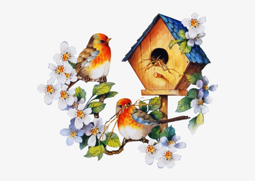 Bird Houses, Bird Cages, Ideas Para, Birds, Image Clipart, - Animated Flowers And Birds, transparent png download
